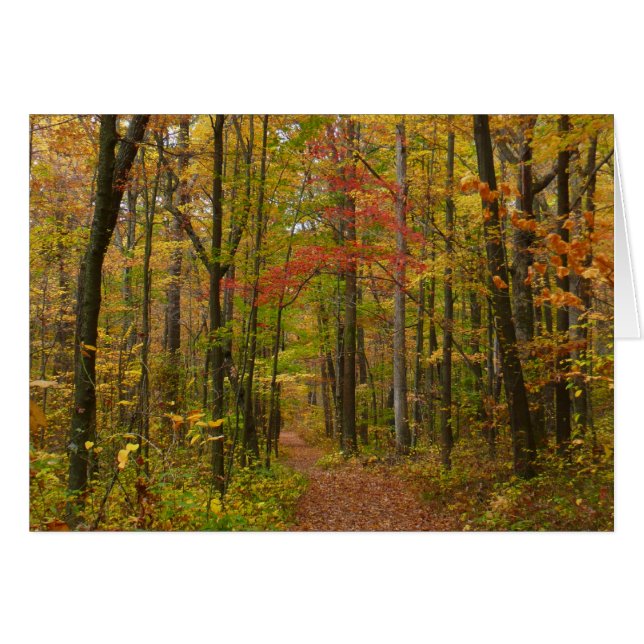 Laurel Hill Trail im Herbst (Vorderseite (Horizontal))