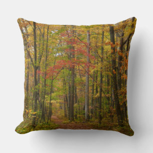 Laurel Hill Trail im Herbst Kissen
