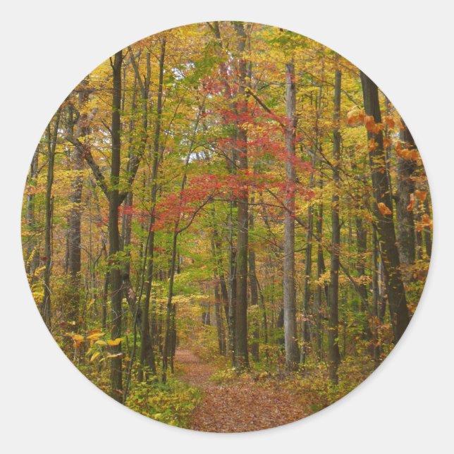 Laurel Hill Trail im Herbst Runder Aufkleber (Vorderseite)