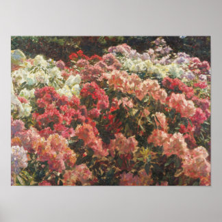Laurits Tuxen - Rhododendron im Garten von Tuxen Poster