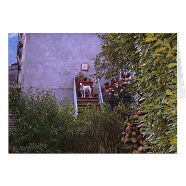 L'aurore de villa (Devant Horizontal)