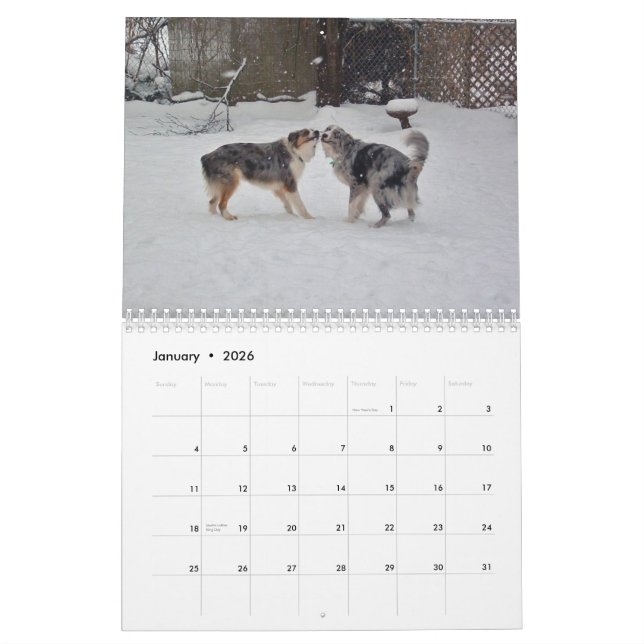 L'Australien Shepherds le calendrier 2013 (Jan 2026)