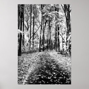 Lautes Flüstern Poster