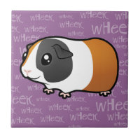 Lautes Meerschweinchen (glattes Haar)