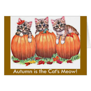 L'automne, c'est la Meow Card du chat