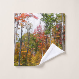 L'automne dans la forêt Photographie d'automne col