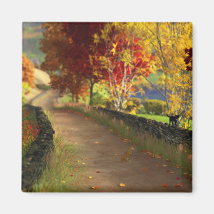 L'automne dans le Glen Magnet