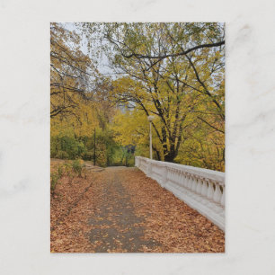 L'automne dans le vieux parc. Carte postale