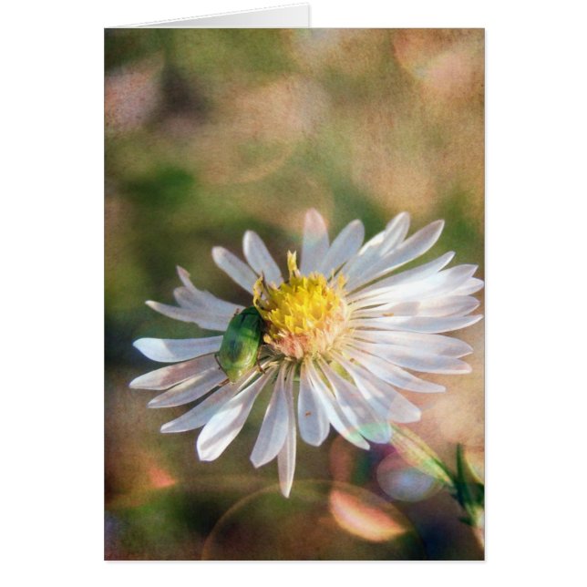 L'automne est là (Devant)