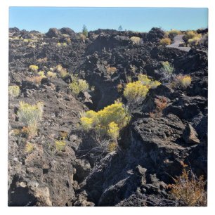 Lava Butte Trail, OR Fliese