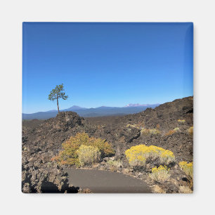 Lava Butte Trail, Oregon Magnet