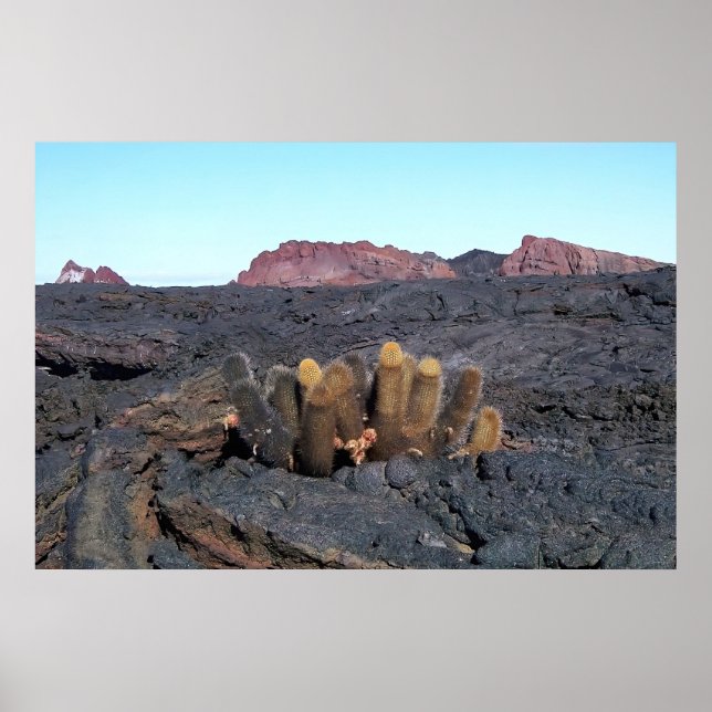 Lava Cacti Poster (Vorne)