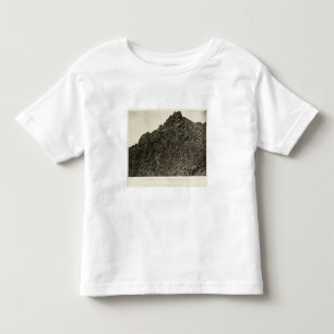 Lava, Wiesen-Nebenfluss-Schlucht, Nevada Kleinkind T-shirt