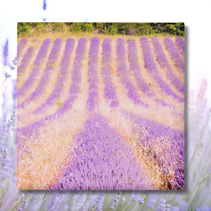Lavafeld Provence Frankreich Magnet