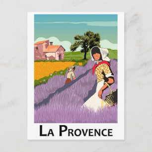 Lavanda Field in der Provence, Frankreich Postkarte