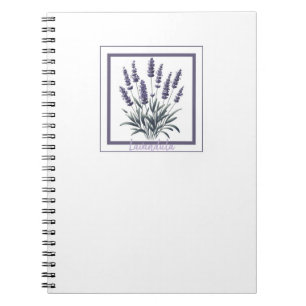 Lavande Lavandula Floral Fleur Herboriste Journal