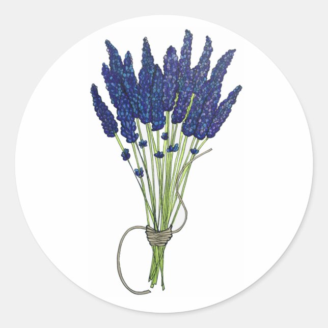 Lavandula Lavender Bunch Kraut Lila Blumengarten Runder Aufkleber (Vorderseite)