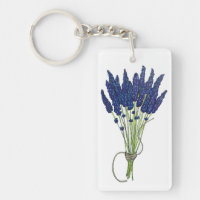 Lavandula Lavender Bunch Kraut Lila Blumengarten