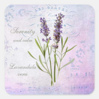 Lavandula Vera Serenity and Calm Quadratischer Aufkleber