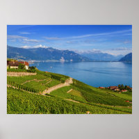 Lavaux region, Vaud, Switzerland