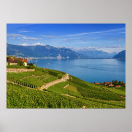 Lavaux region, Vaud, Switzerland Poster