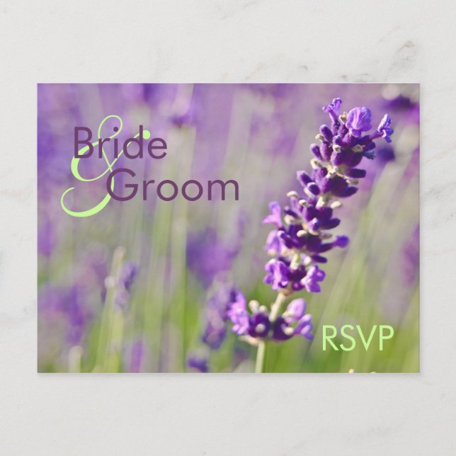 Lavendar ・ Carte postale RSVP (Devant)
