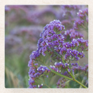 Lavendel am Meer Glasuntersetzer