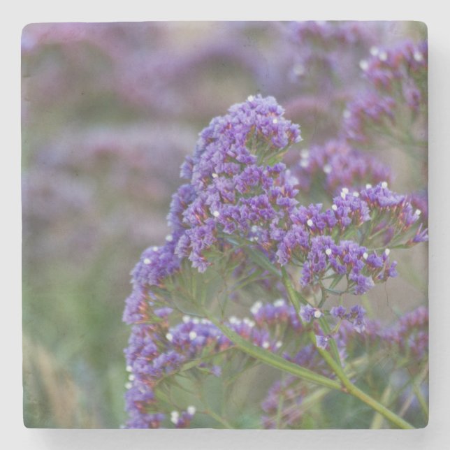 Lavendel am Meer Steinuntersetzer (Vorderseite)