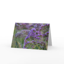 Lavendel am Ozean UAWG