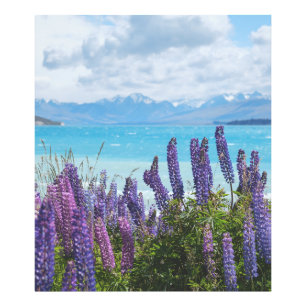Lavendel am Seeufer Fotodruck
