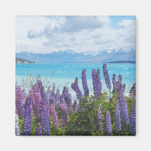 Lavendel am Seeufer Magnet