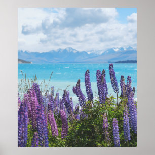 Lavendel am Seeufer Poster