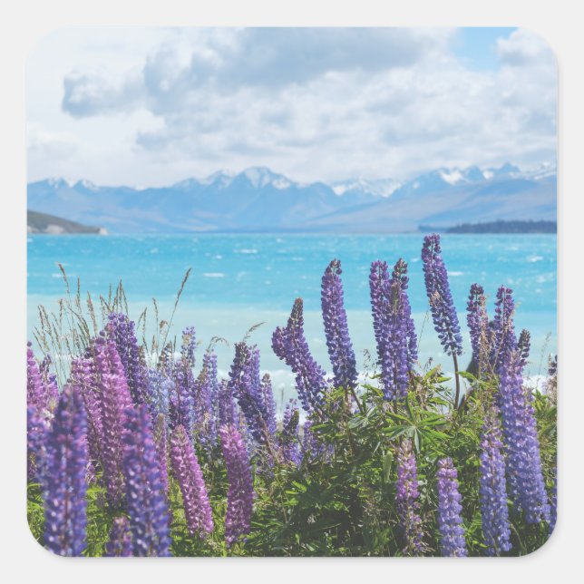 Lavendel am Seeufer Quadratischer Aufkleber (Vorderseite)