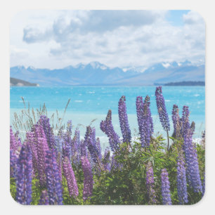 Lavendel am Seeufer Quadratischer Aufkleber