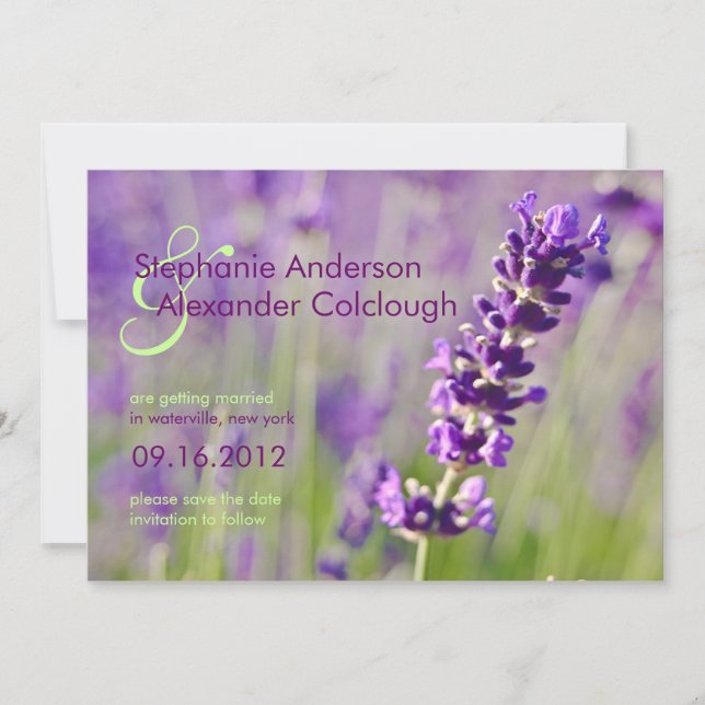 Lavendel ・ Ankündigung Datum freihalten (Vorderseite)