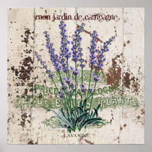 Lavendel auf rustikaler Holzplatte Poster