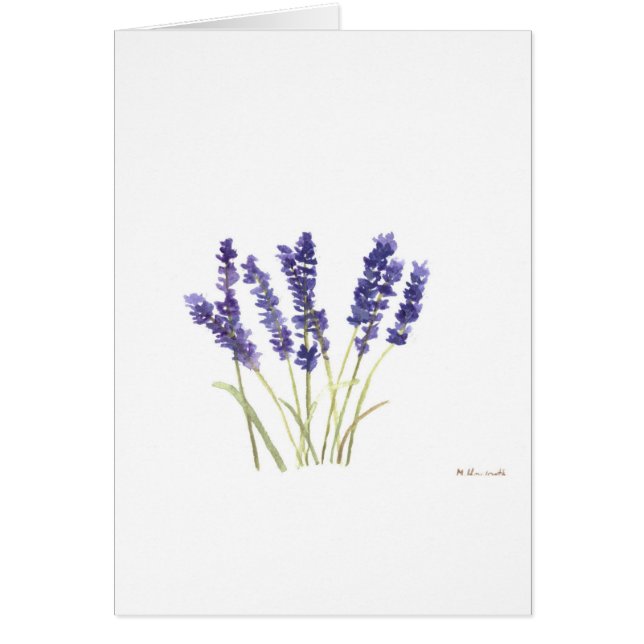 Lavendel-Blume (Vorne)