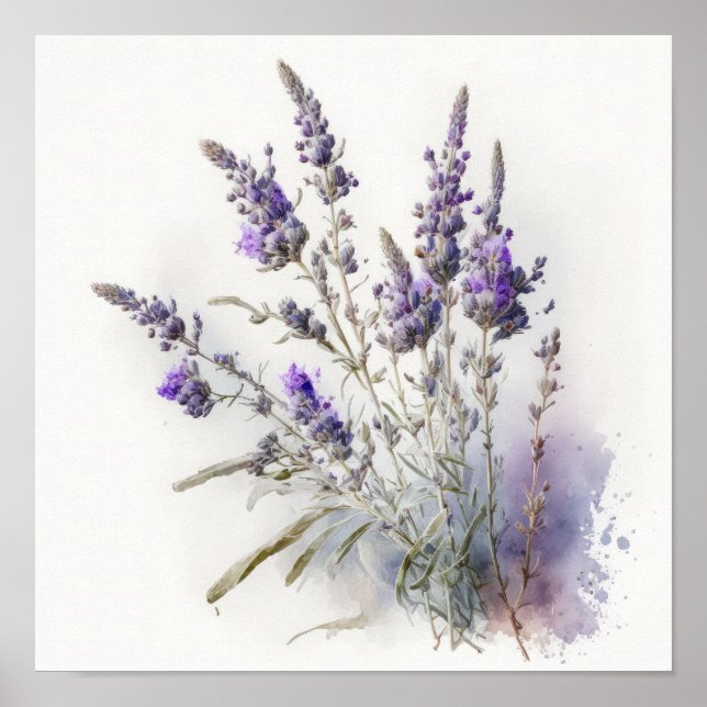 Lavendel Blume Art Print Poster (Vorne)