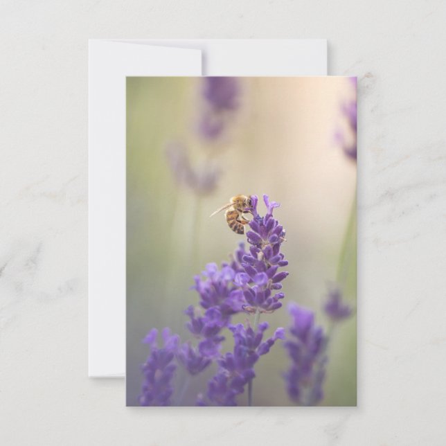 Lavendel Blume Honeybee Nature Foto Karte (Vorderseite)