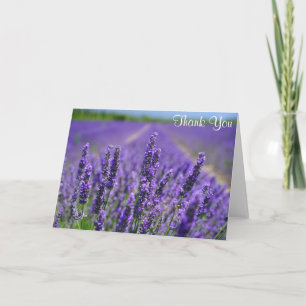 Lavendel Blume Hübsche Lila Blumenbeete Vielen Dan Karte