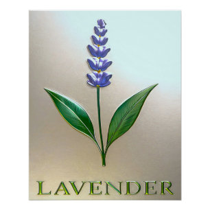 Lavendel Blume in glänzender Eleganz Poster