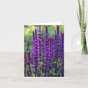 Lavendel-Blume Karte