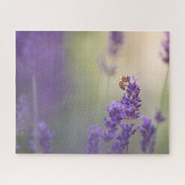 Lavendel Blume Nature Foto (Horizontal)
