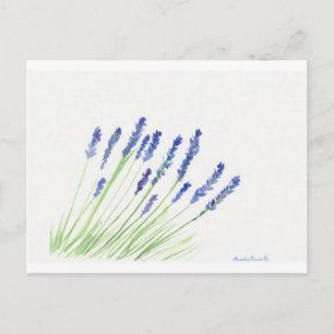 Lavendel-Blume Postkarte