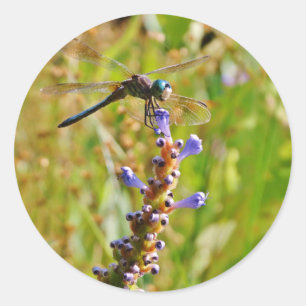 Lavendel-Blume Runder Aufkleber