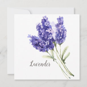 Lavendel-Blume Wasserfarben-Blankenkarte