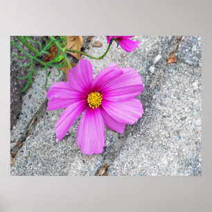 Lavendel-Blumen mit Inspirational Zitaten Poster