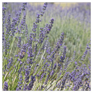 Lavendel-Blumen Stoff
