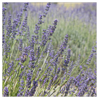 Lavendel-Blumen Stoff