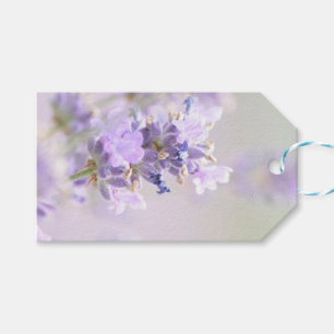 Lavendel Bokeh photographischer Geschenk-Umbau Geschenkanhänger